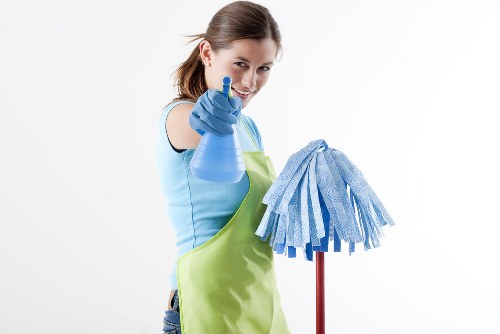 Regular cleaning service for Southkensington homes and apartments