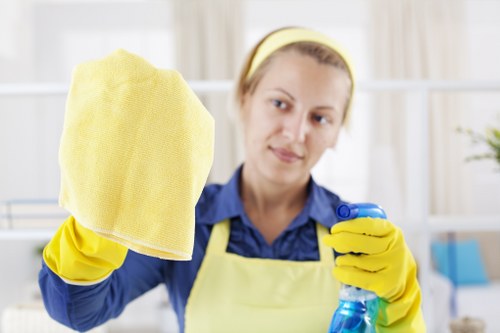 Local cleaner supporting a Southkensington flat or townhouse