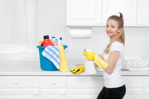 Bright, streak-free windows for a South Kensington home or business