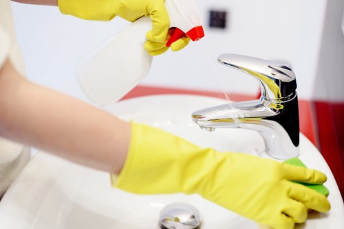 Local South Kensington property interior needing pet odour treatment