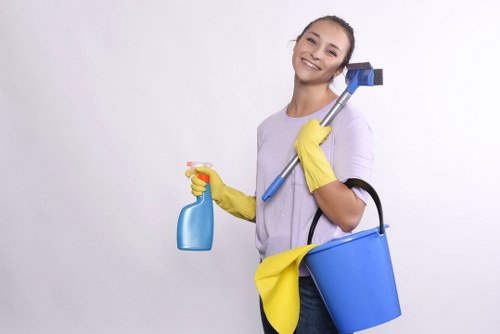 Recurring cleaning tasks for kitchens and bathrooms in Southkensington