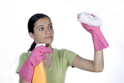 Residential window cleaning for flats and townhouses in South Kensington