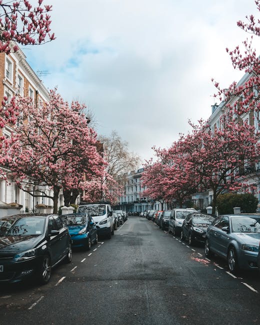A residential street in South Kensington lined with parked cars on both sides, with rows of elegant Victorian-style terraced houses featuring white facades and sash windows. The street is adorned with